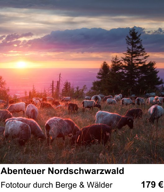 Inspirierender Fotoworkshop zu Abenteuer Nordschwarzwald: Fototour durch Berge & Wälder