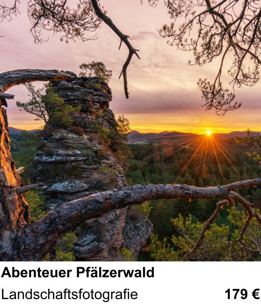 Inspirierender Fotoworkshop zu Abenteuer Pfälzerwald: Landschaftsfotografie
