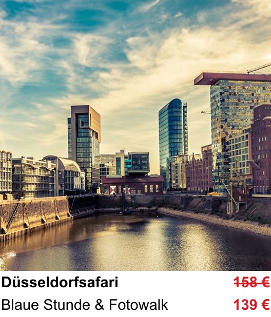 Fotokurs Düsseldorfsafari – Blaue Stunde & Fotowalk