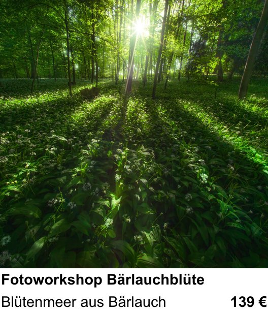Inspirierender Fotoworkshop zu Fotoworkshop Bärlauchblüte: Blütenmeer aus Bärlauch