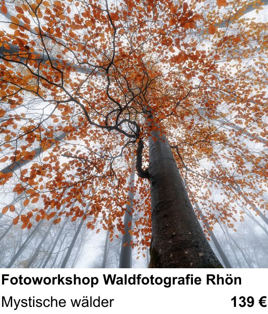 Inspirierender Fotoworkshop zu Fotoworkshop Waldfotografie Rhön: Mystische wälder