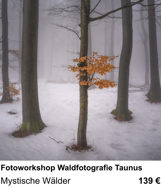 Inspirierender Fotoworkshop zu Fotoworkshop Waldfotografie Taunus: Mystische Wälder
