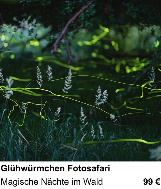 Inspirierender Fotoworkshop zu Glühwürmchen Fotosafari: Magische Nächte im Wald