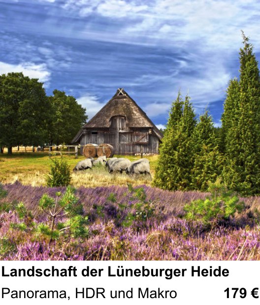 Inspirierender Fotoworkshop zu Landschaft der Lüneburger Heide: Panorama, HDR und Makro