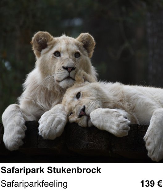 Inspirierender Fotoworkshop zu Safaripark Stukenbrock: Safariparkfeeling
