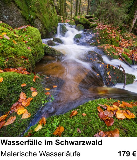 Inspirierender Fotoworkshop zu Wasserfälle im Schwarzwald: Malerische Wasserläufe