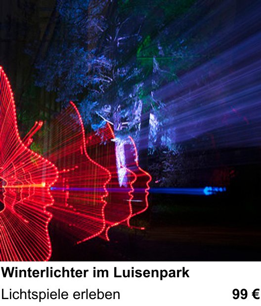 Inspirierender Fotoworkshop zu Winterlichter im Luisenpark: Lichtspiele erleben