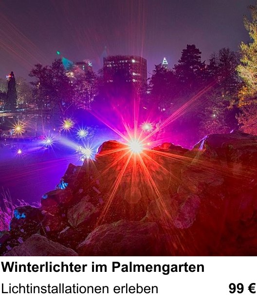 Inspirierender Fotoworkshop zu Winterlichter im Palmengarten: Lichtinstallationen erleben